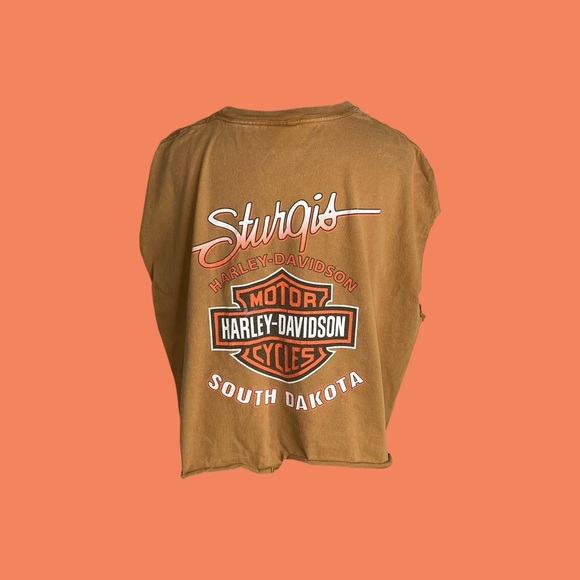 Harley-Davidson Tan and Black Graphic reworked t-shirt - Picture 4 of 12